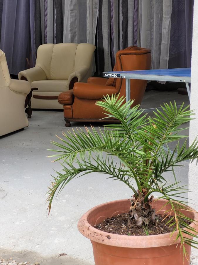 Studio Sequoia Au Pied Du Chateau Saumur Eksteriør bilde